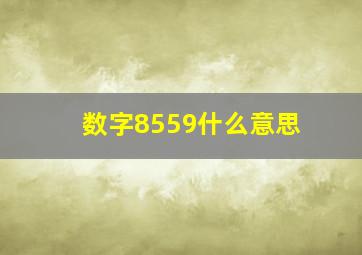 数字8559什么意思