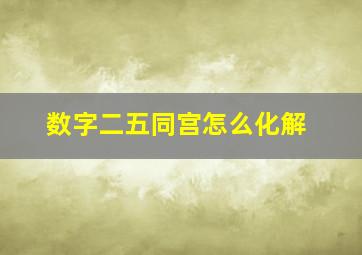 数字二五同宫怎么化解