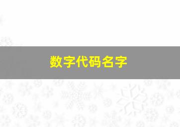 数字代码名字