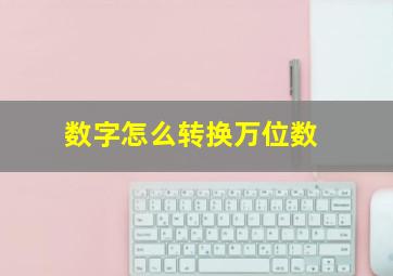 数字怎么转换万位数