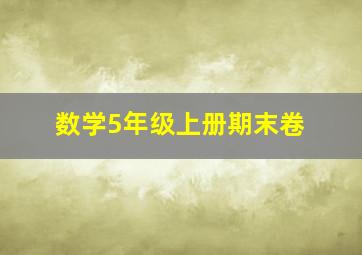 数学5年级上册期末卷