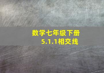 数学七年级下册5.1.1相交线