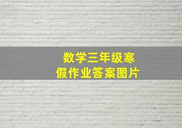 数学三年级寒假作业答案图片