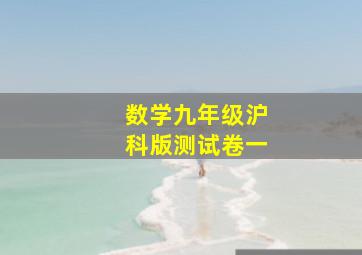 数学九年级沪科版测试卷一