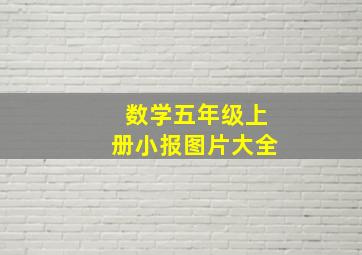 数学五年级上册小报图片大全