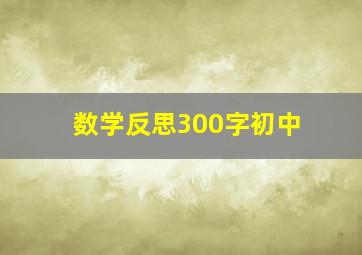 数学反思300字初中