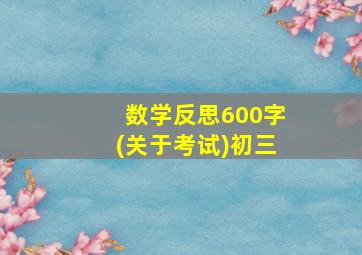 数学反思600字(关于考试)初三