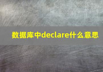 数据库中declare什么意思