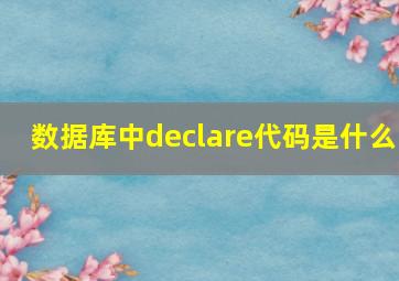 数据库中declare代码是什么