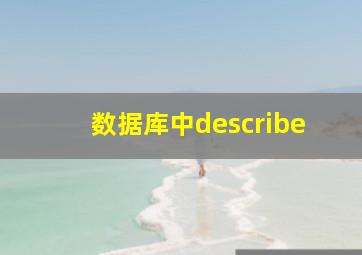 数据库中describe