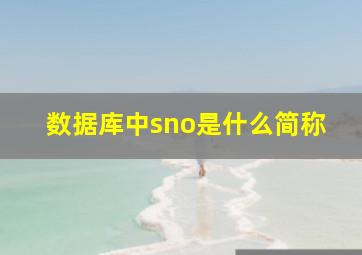 数据库中sno是什么简称