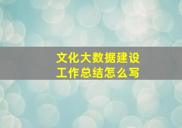 文化大数据建设工作总结怎么写