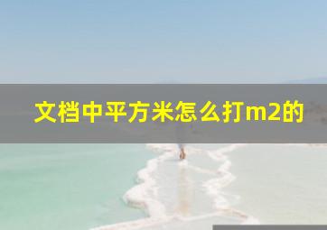 文档中平方米怎么打m2的