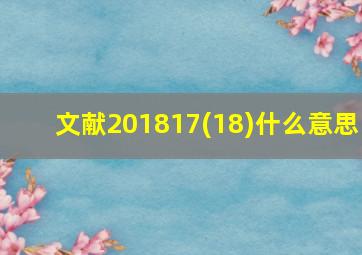 文献201817(18)什么意思