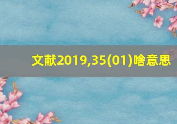 文献2019,35(01)啥意思