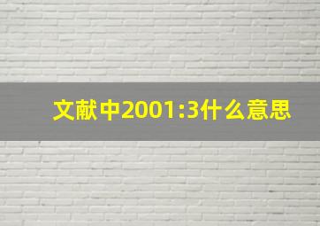 文献中2001:3什么意思