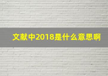 文献中2018是什么意思啊