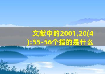 文献中的2001,20(4):55-56个指的是什么