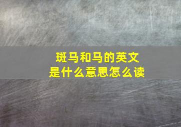 斑马和马的英文是什么意思怎么读