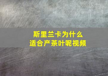 斯里兰卡为什么适合产茶叶呢视频