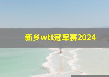 新乡wtt冠军赛2024