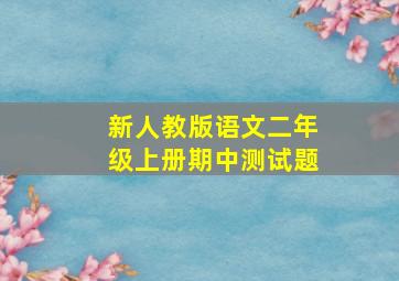 新人教版语文二年级上册期中测试题