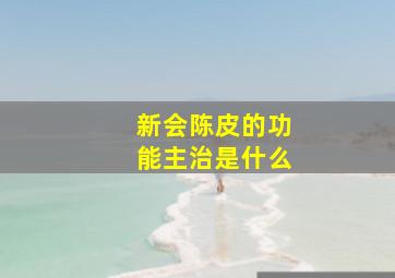 新会陈皮的功能主治是什么