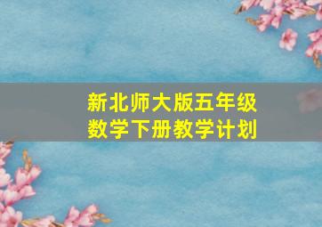 新北师大版五年级数学下册教学计划