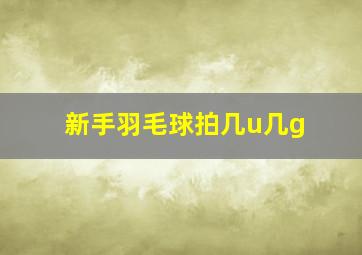 新手羽毛球拍几u几g