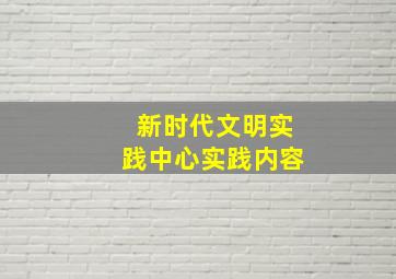 新时代文明实践中心实践内容