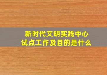 新时代文明实践中心试点工作及目的是什么