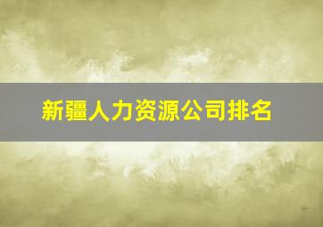 新疆人力资源公司排名