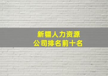 新疆人力资源公司排名前十名