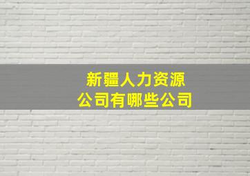 新疆人力资源公司有哪些公司