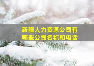 新疆人力资源公司有哪些公司名称和电话