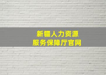 新疆人力资源服务保障厅官网