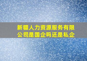 新疆人力资源服务有限公司是国企吗还是私企