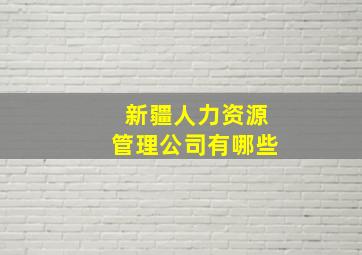 新疆人力资源管理公司有哪些