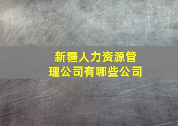 新疆人力资源管理公司有哪些公司