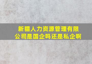 新疆人力资源管理有限公司是国企吗还是私企啊