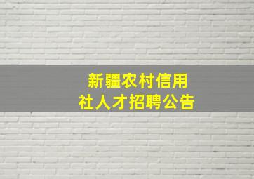 新疆农村信用社人才招聘公告