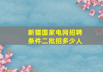 新疆国家电网招聘条件二批招多少人