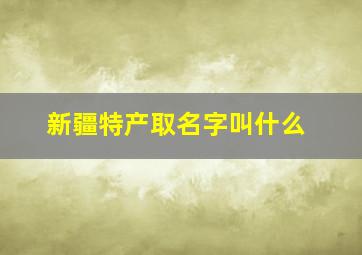 新疆特产取名字叫什么