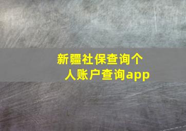 新疆社保查询个人账户查询app