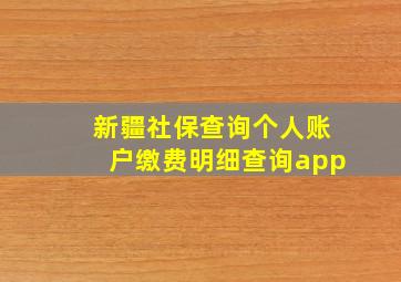 新疆社保查询个人账户缴费明细查询app