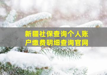 新疆社保查询个人账户缴费明细查询官网