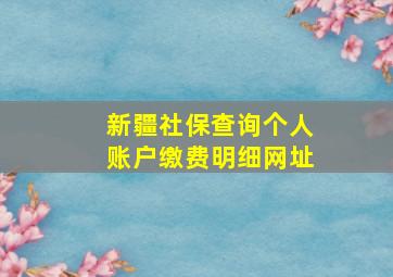 新疆社保查询个人账户缴费明细网址