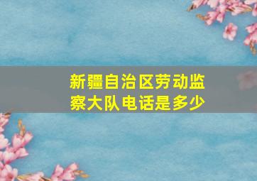 新疆自治区劳动监察大队电话是多少