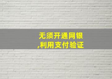 无须开通网银,利用支付验证