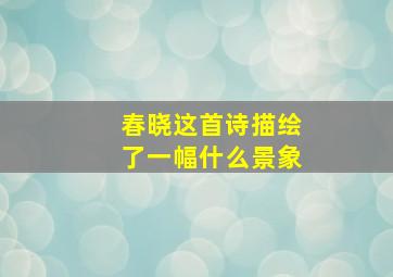 春晓这首诗描绘了一幅什么景象